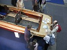 20er Jollenkreuzer